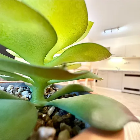 Menada Royal Sun Apartman