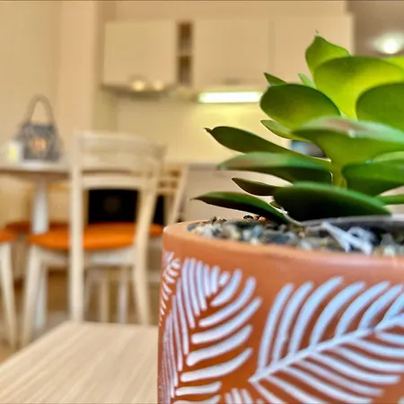 Menada Royal Sun Apartament Słoneczny Brzeg