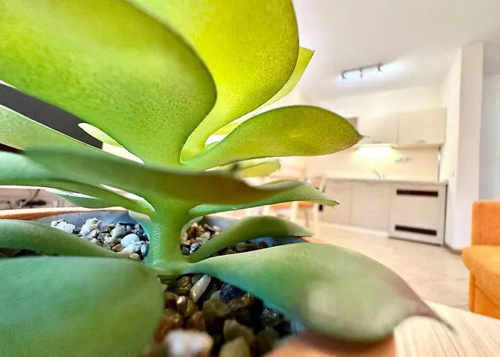 Menada Royal Sun Apartment